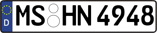 MS-HN4948