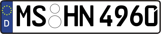 MS-HN4960