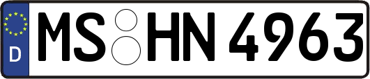 MS-HN4963