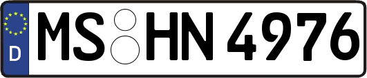 MS-HN4976