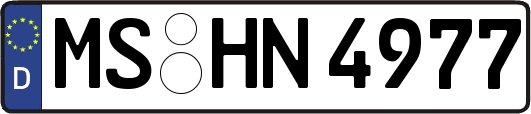 MS-HN4977