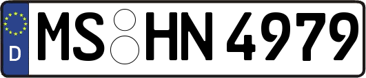 MS-HN4979