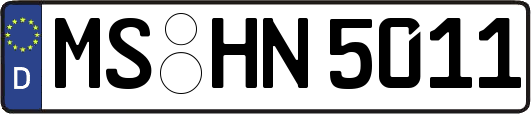 MS-HN5011
