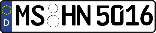 MS-HN5016
