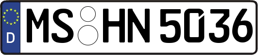 MS-HN5036