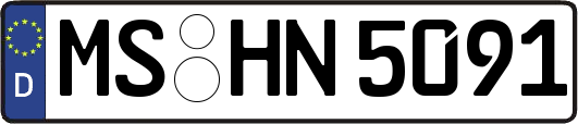 MS-HN5091