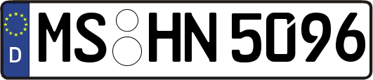 MS-HN5096