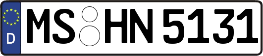 MS-HN5131
