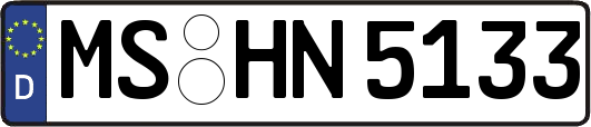 MS-HN5133