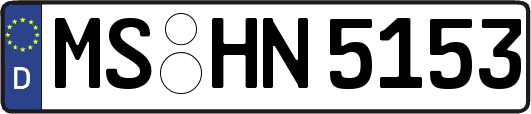 MS-HN5153