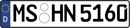MS-HN5160