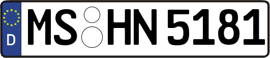 MS-HN5181