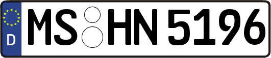 MS-HN5196