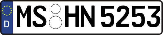 MS-HN5253