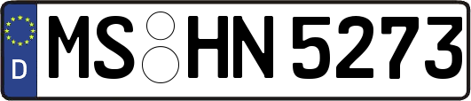 MS-HN5273