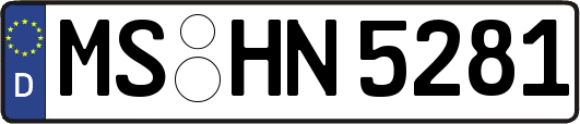MS-HN5281