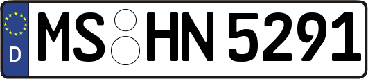 MS-HN5291