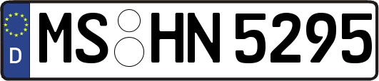 MS-HN5295