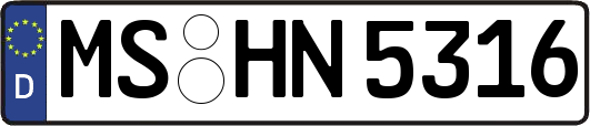 MS-HN5316