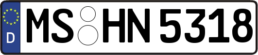 MS-HN5318