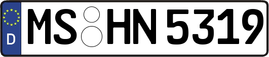 MS-HN5319