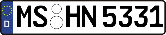 MS-HN5331
