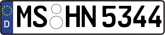 MS-HN5344