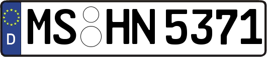 MS-HN5371