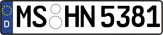 MS-HN5381