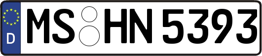MS-HN5393