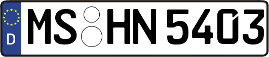 MS-HN5403