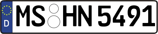 MS-HN5491