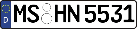MS-HN5531