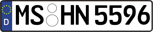 MS-HN5596