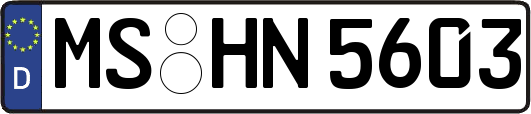 MS-HN5603