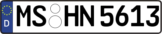 MS-HN5613