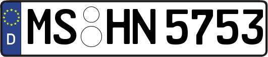 MS-HN5753