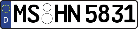 MS-HN5831
