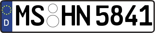 MS-HN5841