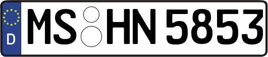 MS-HN5853