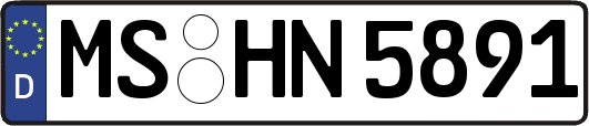 MS-HN5891