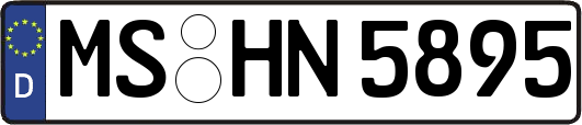 MS-HN5895