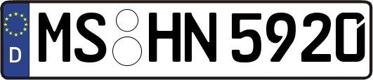 MS-HN5920