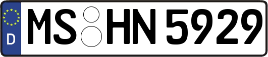 MS-HN5929