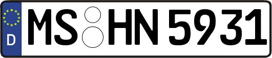 MS-HN5931