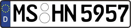 MS-HN5957