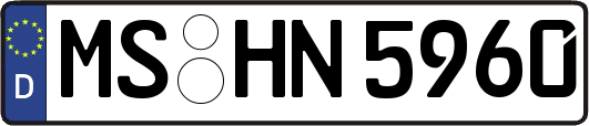 MS-HN5960