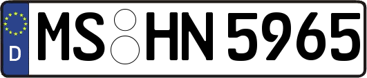MS-HN5965