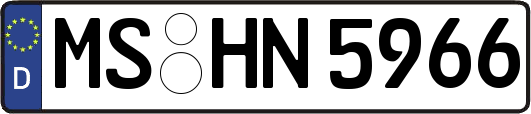 MS-HN5966