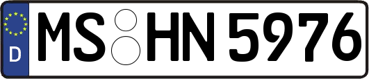 MS-HN5976